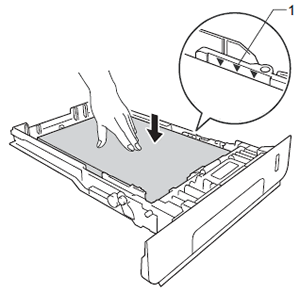 Load Paper in the Tray