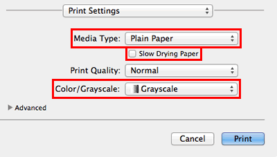 Print Settings