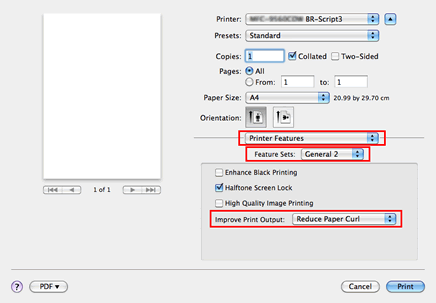 Print dialog of BR-Script driver