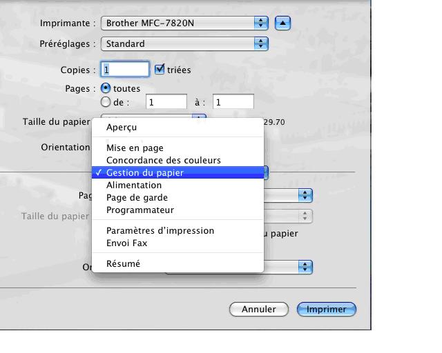 Où se trouve l'option pour régler l'impression recto verso manuelle dans le  pilote d'imprimante sous Mac OS X 10.3? | Brother