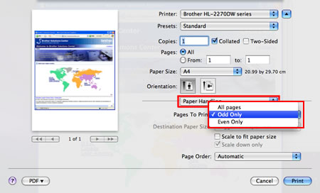 Print dialog- Paper Handling