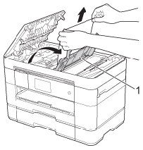 OpenFeedTray