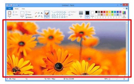 Dcp-340cw Windows xp driver