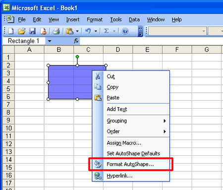 Select the Format Auto Shape from the menu.
