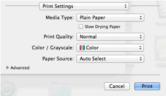 Print Settings