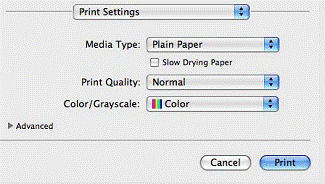 Print Settings