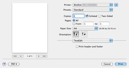 Print dialog