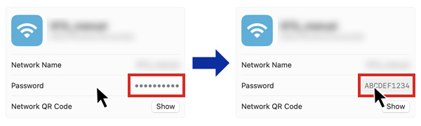 Password field