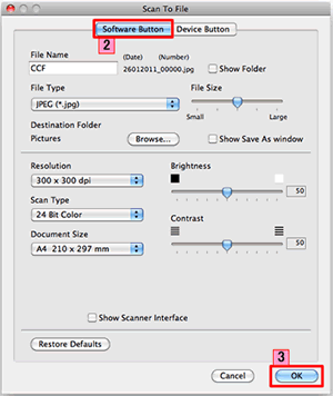 The settings window for Scan to File