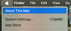 Choose About This Mac from the Apple menu.