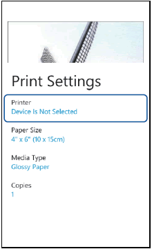 Print Settings