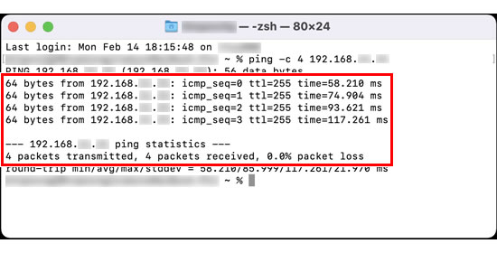 Ping-Empfang