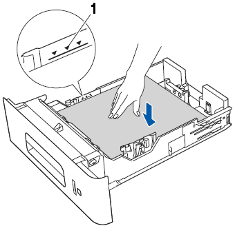 Make sure that the paper is below the maximum paper mark.