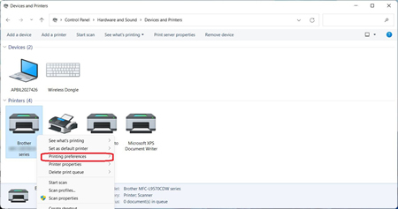 Printing Preferences (Yazdırma Tercihleri) içinde bir seçeneği