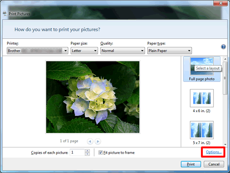 cannot print from windows photo viewer