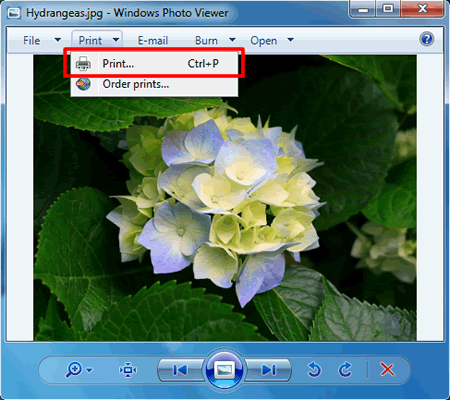 brother imageviewer 14.5