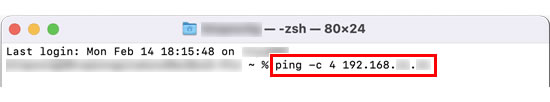 Type ping