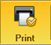 Print button