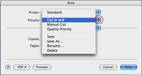 Print dialog box