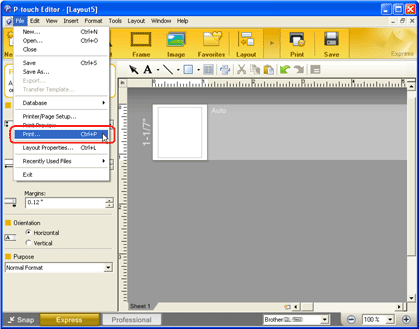 photo editor printing software photo editor printing software