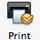 Botón Imprimir