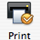 Print button