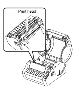 print head