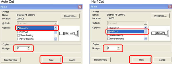 Print dialog box