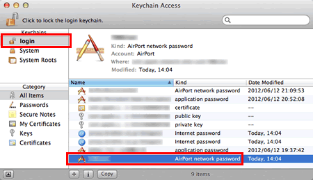 Network Name