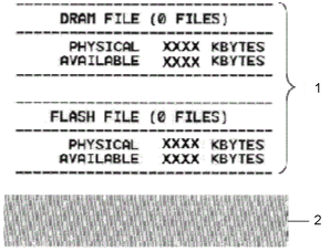 Dram/Flash File