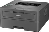 User manual Brother HL-L2445DWE (English - 259 pages)
