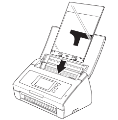 Graphique