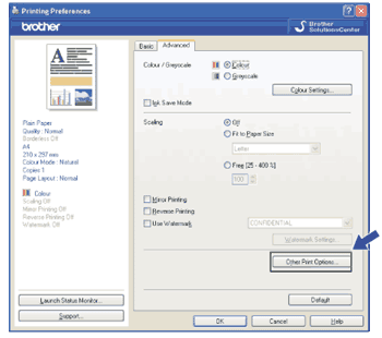 Screen