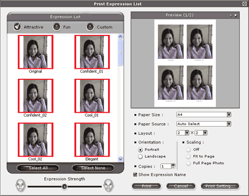 Screen
