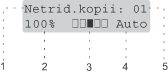 Grafika