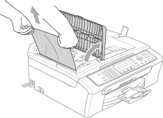 Grafic