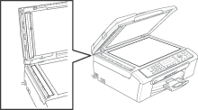 Grafic