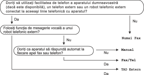 Grafic
