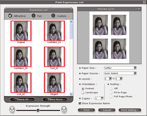 Screen