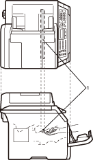 Graphic
