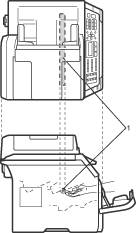 Graphic