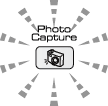 Graphique