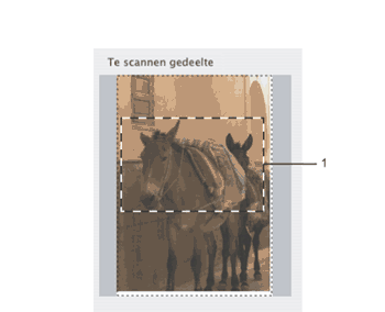 Scherm