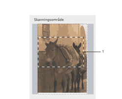 Skärm