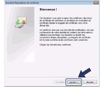 Écran