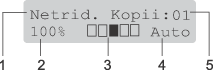 Grafika