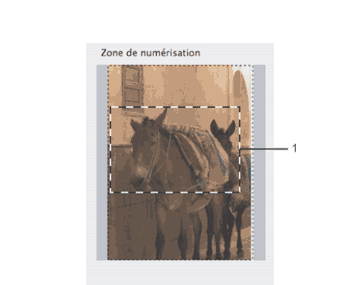 Écran