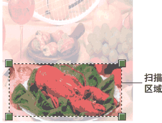 屏幕