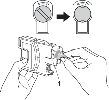 Graphic