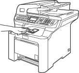 Graphique